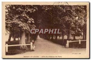 Boissy-Saint-Léger - Allee du Chateau du Piple - Old Postcard