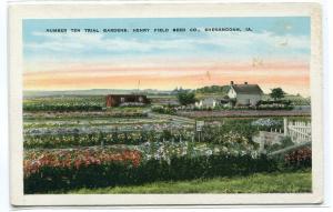 Number Ten Trial Gardens Henry Field Seed Co Farm Shenandoah Iowa postcard