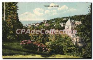 Old Postcard Veules les Roses