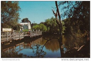 Delaware Rehoboth Beach Children's Fishing Pier Lake Gerar