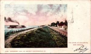 USA The Levee At Chalmette New Orleans Louisiana Vintage Postcard 09.72