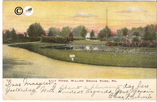 Vintage Postcard, Lily Pond Willow Grove Park Pennsylvania