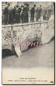 Old Postcard Bear Crue of the Seine January 1910 Paris Garden plants L & # wh...