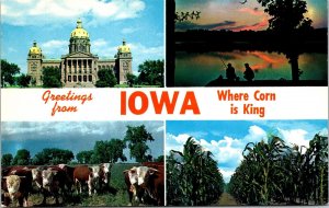 Greetings From Iowa IA Multiview Postcard VTG UNP Plastichrome Vintage Unused 