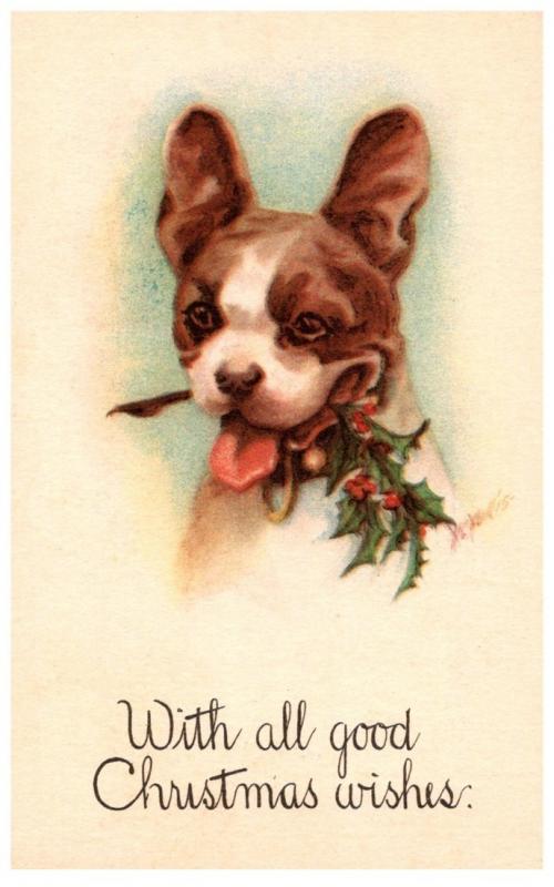 Dog  with Misteltoe  , Christmas