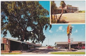2 Views, The Carolinian Motel and Restaurant, Georgetown, South Carolina, 40-...