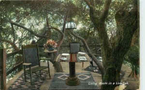 M. Rieder Postcard 4344. Living Room in Live Oak Tree House, California c1907