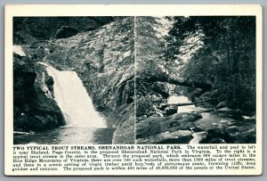 Postcard Shenandoah VA c1923 Two Typical Trout Streams Shenandoah National Park