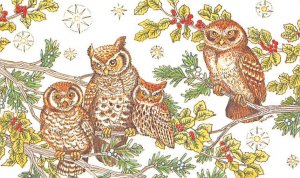 Four Owls in Pine & Holly Trees Unused 