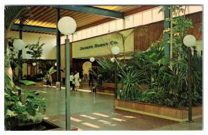 1950s/60s Joseph Horne Co. at Northway Mall, North Hills, Pittsburgh PA Postcard
