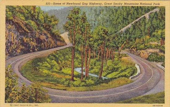 Scene Of Newfound Gap Highway Great Smoky Mountains National Park