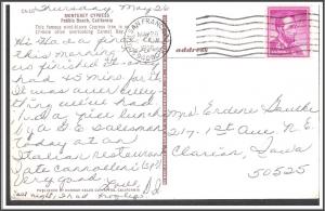 California, Pebble Beach - Monterey Cypress - [CA-180]