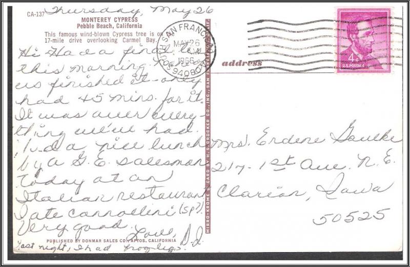 California, Pebble Beach - Monterey Cypress - [CA-180]