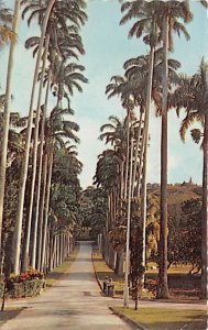 Entrance to Codrington College St. John Barbados West Indies 1967 