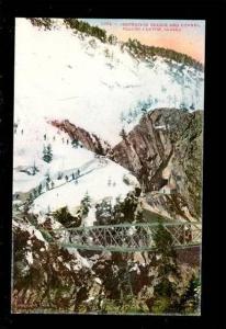 LP126 Placer Canyon Alaska Suspension Bridge Postcard