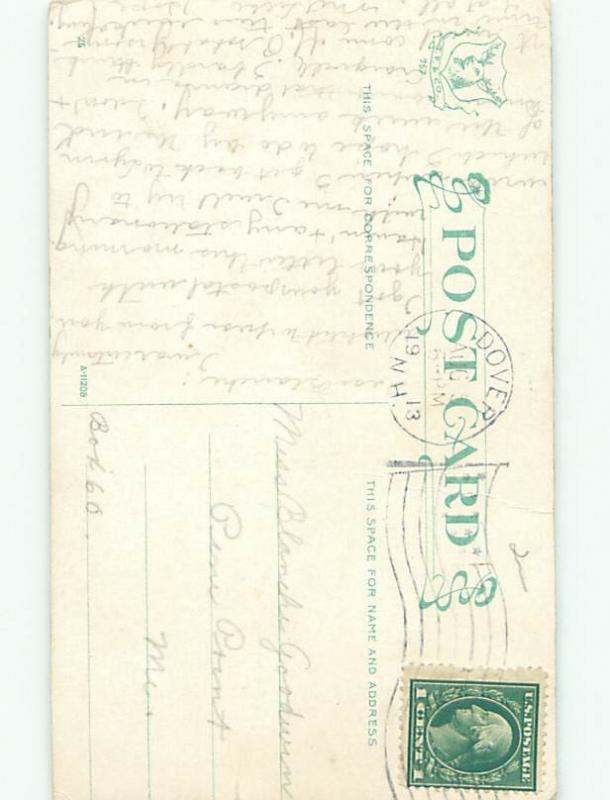 Divided-Back ANIMAL SCENE Great Postcard AA9500