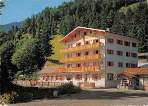 BT12647 Hotel Ulrichsbrucke vils bei reutte Tirol          Austria