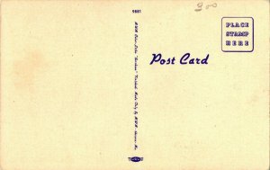 Vtg Postcard Linen Postcard City Hall & Post Office - Vinita Oklahoma OK Unused 