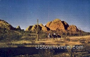 Horseback Riding - Misc, Arizona AZ