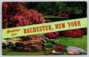 Banner Greeting~Rochester New York~Flower City Composite~PM 1977 Postcard