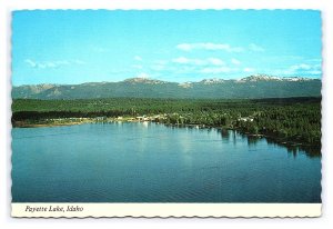 Postcard Continental Aerial View Payette Lake Idaho