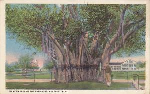 Banyan Tree At The Barracks Key West Florida 1921 Curteich