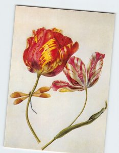 Postcard Tulips, The Pierpoint Morgan Library, New York City, New York