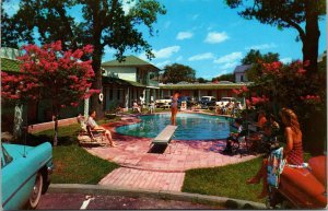 Park Plaza Motel Woman on Pool Diving Board Texarkana Arkansas Texas Postcard