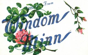 Vintage Postcard Greetings From Windom Minnesota Flower Leaves Design Souvenir