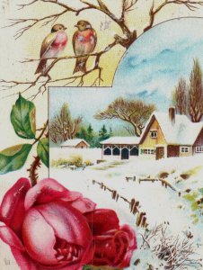 1880s Embossed Victorian Trade Cards Winter Scenes Birds Lot Of 4 Fab! P167