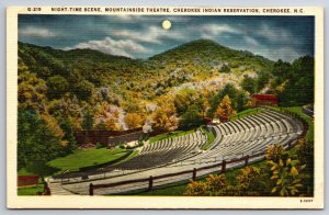 Native Americana~Cherokee North Carolina~Night Time Scene Of Theatre~Vintage PC