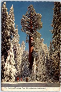 M-101847 The Nation's Christmas Tree Kings Canyon National Park California