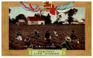 Workers in the Fields , Habitant Life Studies