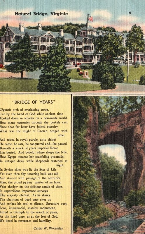 Vintage Postcard 1930's Bridge of Years Carter Wormeley Natural Bridge Virginia