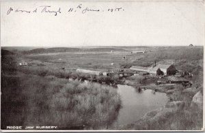 Moose Jaw Nursery Moose Jaw SK Saskatchewan Birdseye Litho Postcard H56