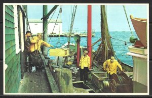 New Hampshire - Fishermen Landing The Catch - [NH-205]