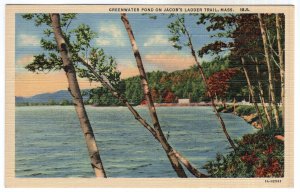 Greenwater Pond On Jacob's Ladder Trail, Mass