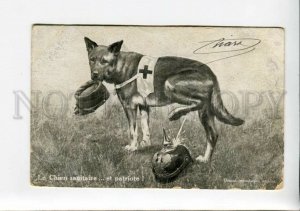 3159670 Propaganda WWI German Shepherd Dog RED CROSS Peening
