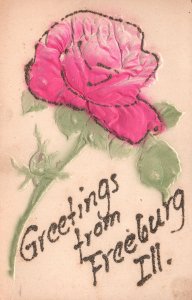 Greetings From Freeburg Illinois Pink Rose Flowers Glittered Vintage Postcard