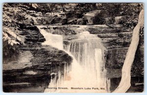 1928 MOUNTAIN MT LAKE PARK MARYLAND MD ROARING STREAM WATERFALLS POSTCARD