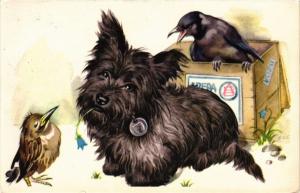 CPA AK Little black dog and birds DOGS (729657)