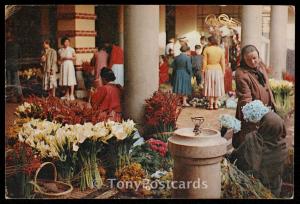 Vendedeiras de Flores no Mercado - Funchal, Madeira