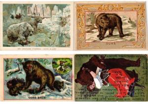 OURS BEAR BEARS ANIMAUX 21 CPA + 5 TRADE CARDS