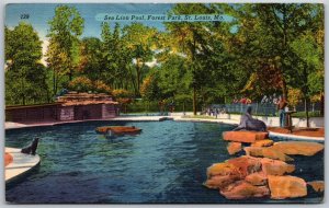 Vtg St Louis Missouri MO Sea Lion Pool Forest Park 1940s Linen View Postcard