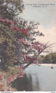 HILLSBORO, New Hampshire, PU-1907; Leaning Tree, Contookook River
