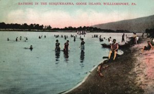 Vintage Postcard 1908 Bathing Susquehanna Goose Land Williamsport Pennsylvania