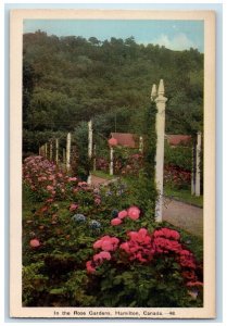 c1950's In The Rose Gardens Hamilton Ontario Canada Vintage Postcard 