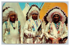 Three Heap Big Indian Chiefs Full Dress Regalia Vintage Standard View Postcard 