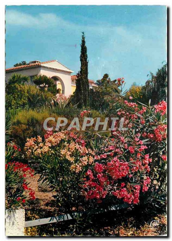 Postcard Modern World Carrefour French Riviera Tourism