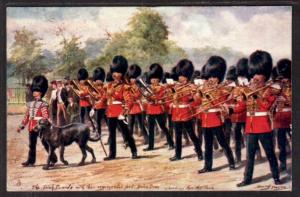 Irish Guard and Regimental Pet Tuck's Postcard 5929